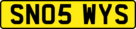 SN05WYS