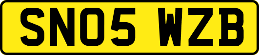 SN05WZB