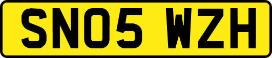 SN05WZH