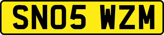SN05WZM