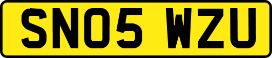 SN05WZU
