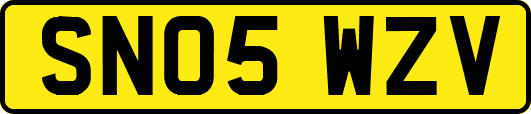 SN05WZV