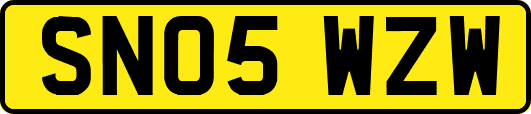 SN05WZW