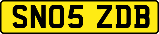 SN05ZDB