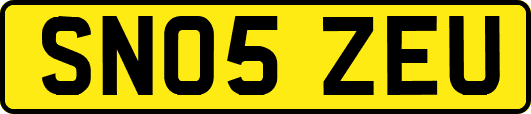 SN05ZEU