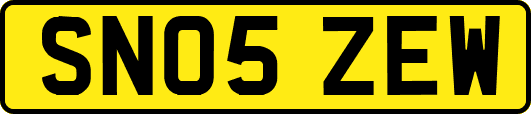 SN05ZEW