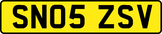 SN05ZSV