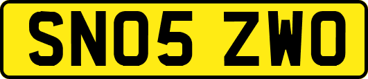 SN05ZWO