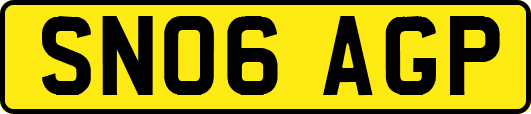 SN06AGP