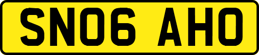 SN06AHO