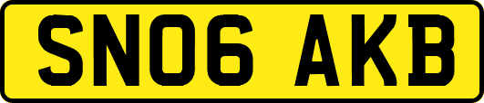 SN06AKB