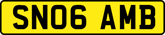 SN06AMB