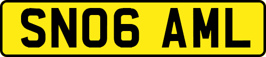 SN06AML