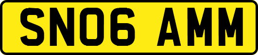 SN06AMM