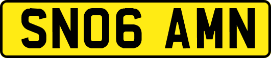 SN06AMN