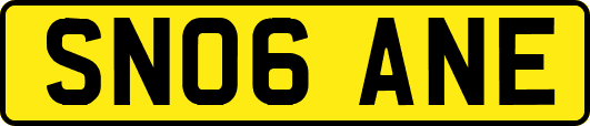 SN06ANE