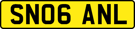SN06ANL