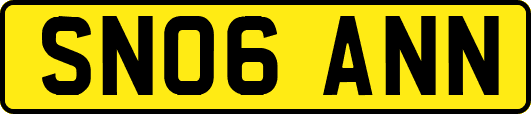 SN06ANN