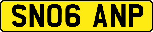 SN06ANP