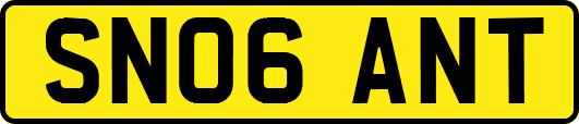 SN06ANT