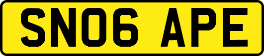 SN06APE