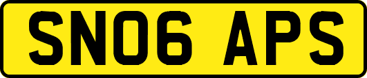SN06APS