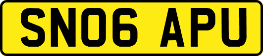 SN06APU