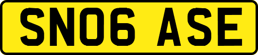 SN06ASE