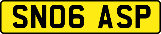 SN06ASP