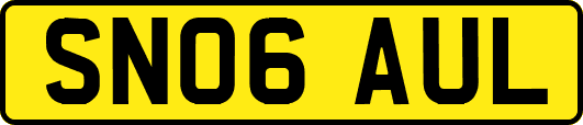 SN06AUL