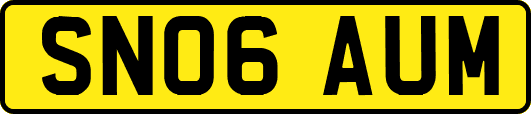 SN06AUM
