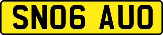 SN06AUO