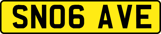SN06AVE