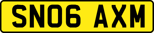 SN06AXM