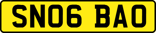 SN06BAO