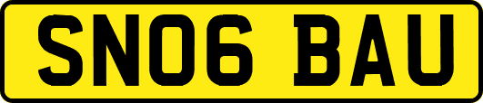 SN06BAU