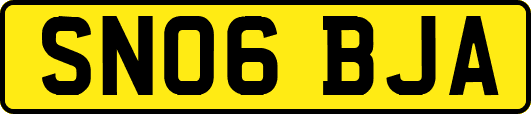 SN06BJA