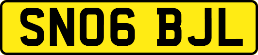 SN06BJL
