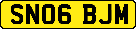 SN06BJM