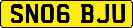 SN06BJU