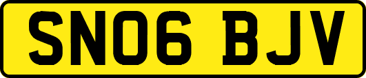 SN06BJV