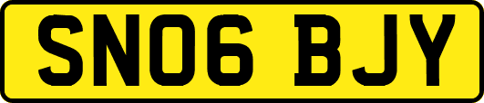 SN06BJY