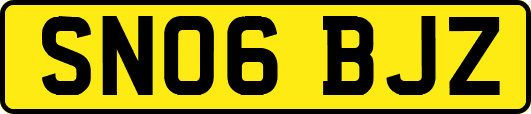 SN06BJZ