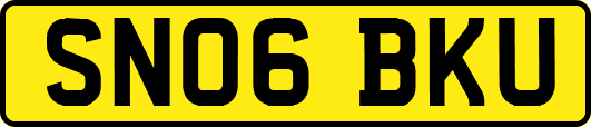 SN06BKU