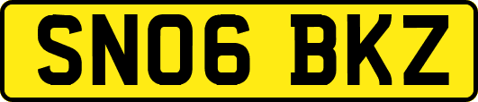 SN06BKZ