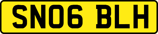 SN06BLH
