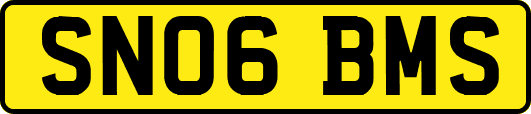 SN06BMS