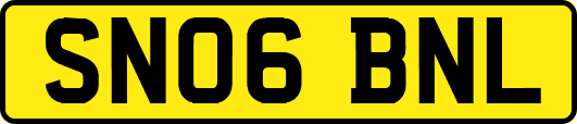 SN06BNL