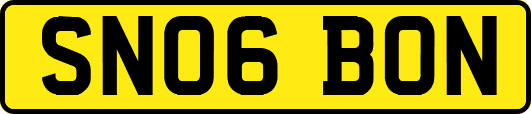 SN06BON