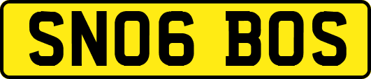 SN06BOS